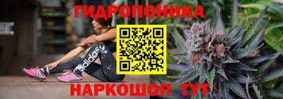 гидра Кинель