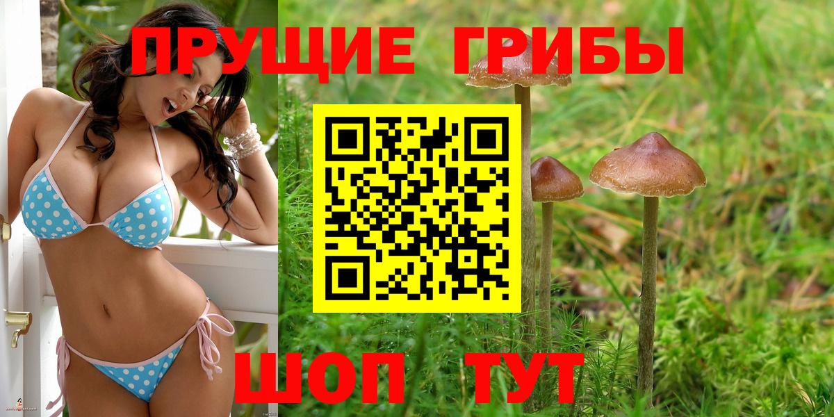Псилоцибиновые грибы Magic Shrooms Киров
