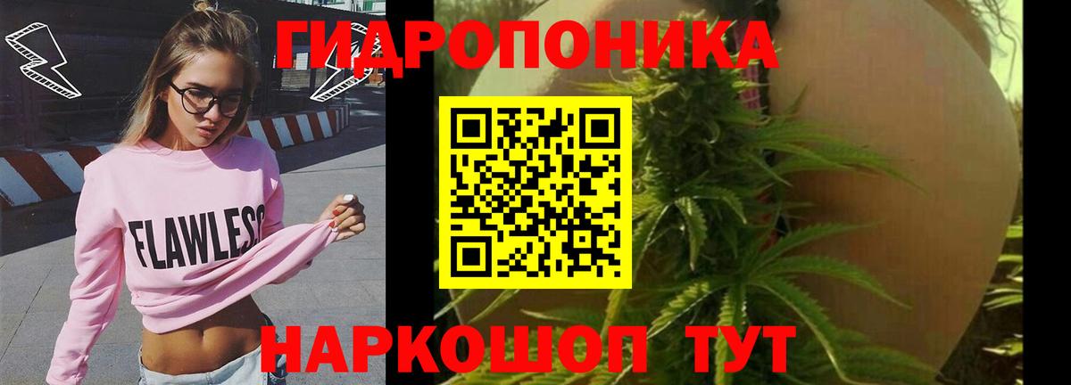 Канабис THC 21% Киров